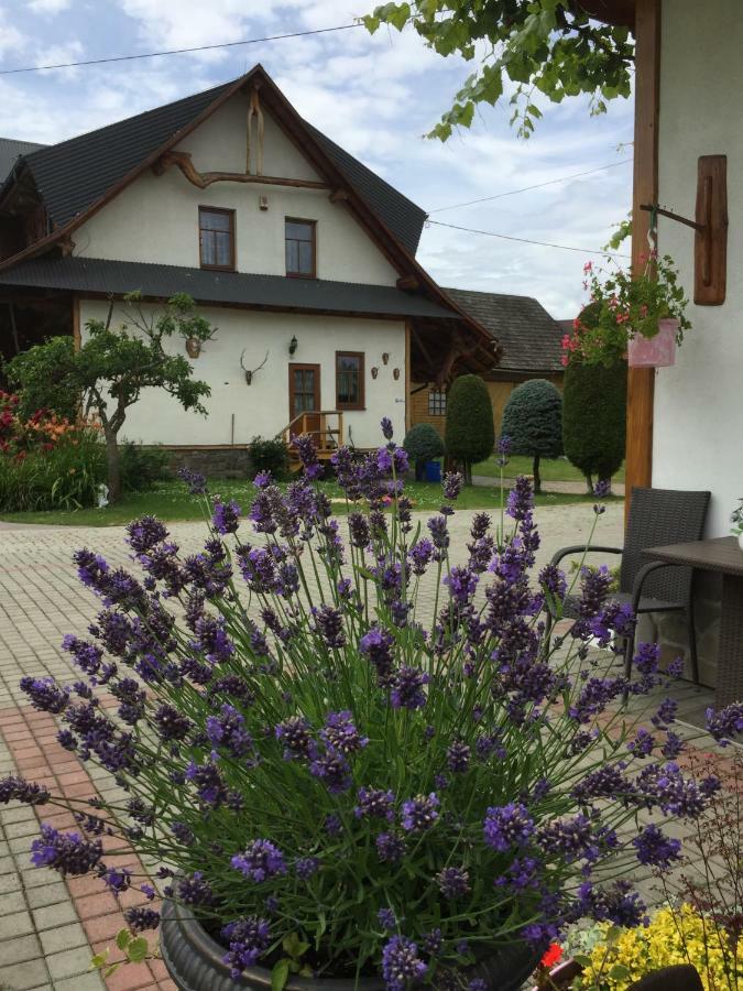 비아우카 타트르잔스카 Dom Rodziny Sojkow B&B 외부 사진