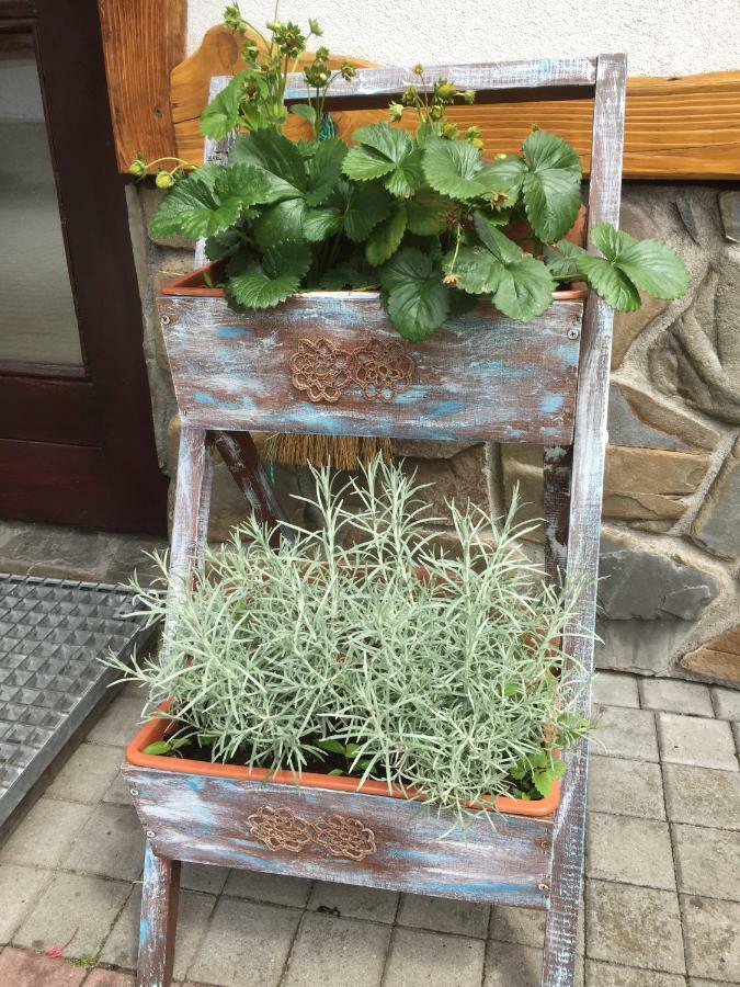 비아우카 타트르잔스카 Dom Rodziny Sojkow B&B 외부 사진