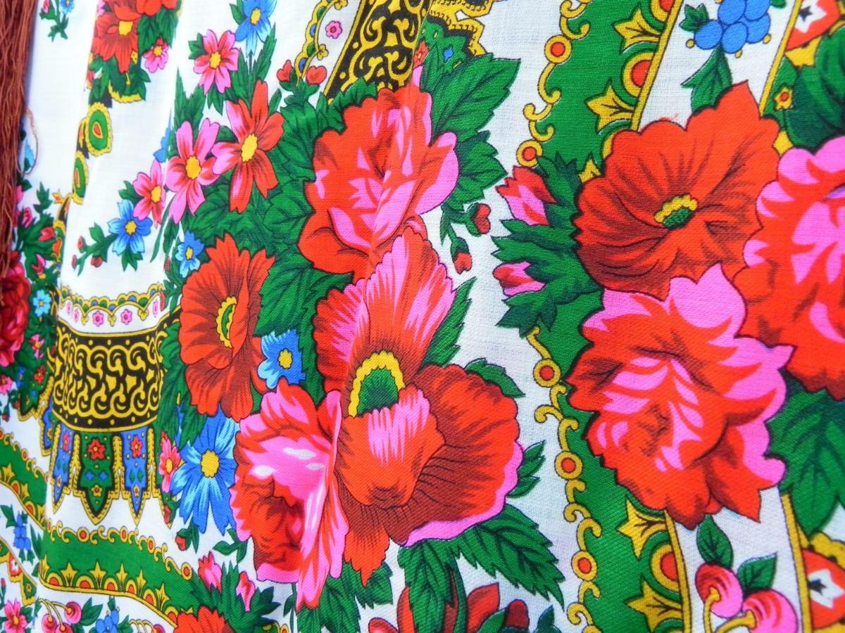 비아우카 타트르잔스카 Dom Rodziny Sojkow B&B 외부 사진